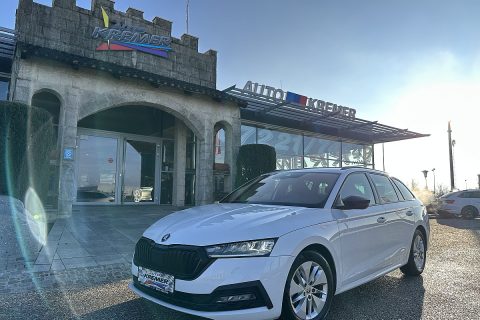 Skoda Octavia Combi 2,0 TDI Ambition DSG/SHA/AHK/RFK/AMBIENTE/SPORTSITZE/SHZ