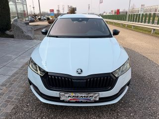 Skoda Octavia Combi 2,0 TDI 4x4 Style DSG/AHK/RFK/VIRTUAL-C./ACC/SHA/TWA/SHZ/MATRIX-LED/NAVI